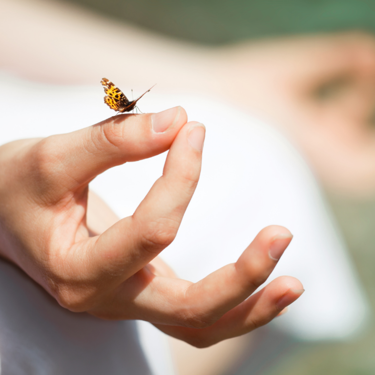 meditation and wellbeing