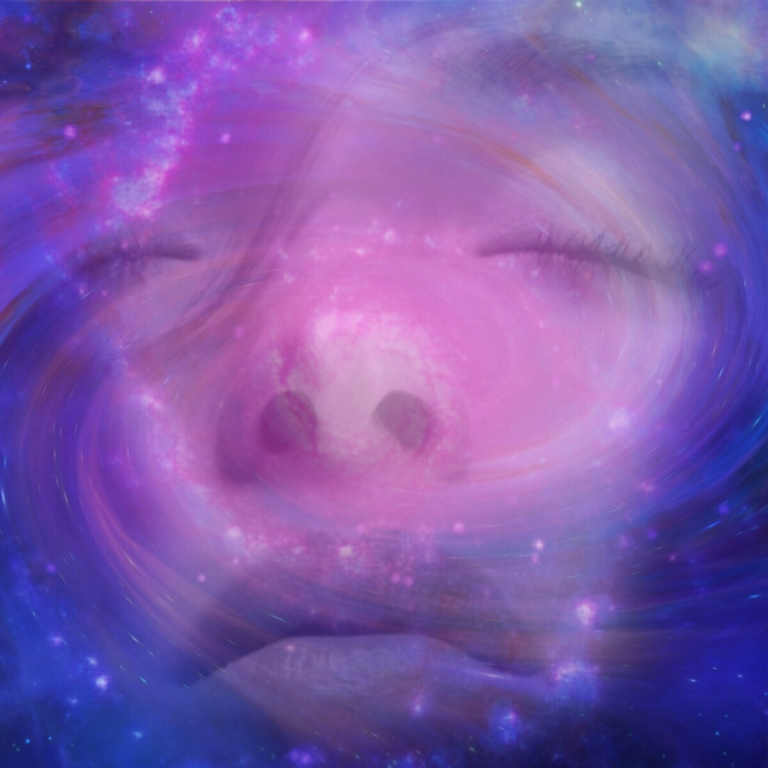 universe to something much smaller